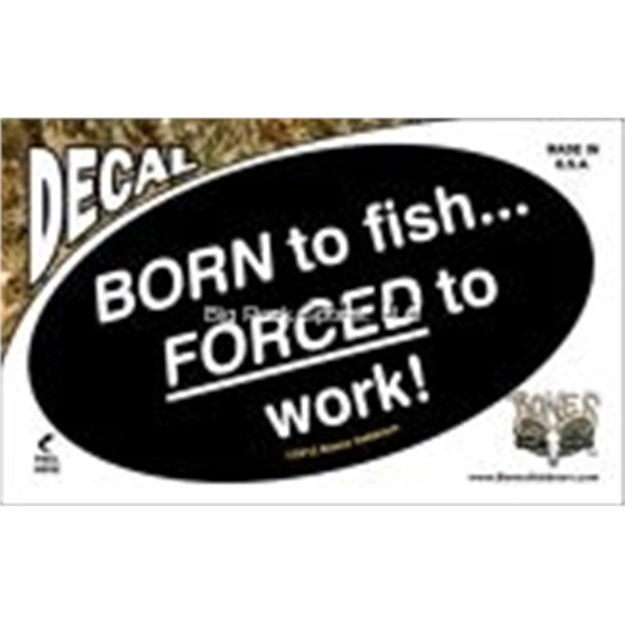 Picture of Bones 0Val Decal, Born TO Fish...Forced TO Work