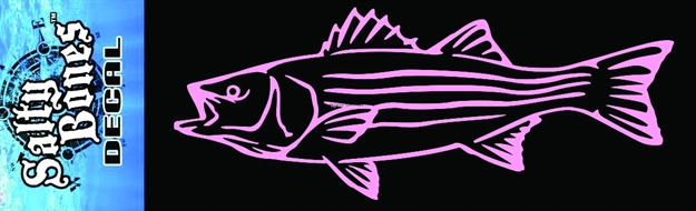 Picture of Bones Striped Bass Plotted Decal, Pink Outline