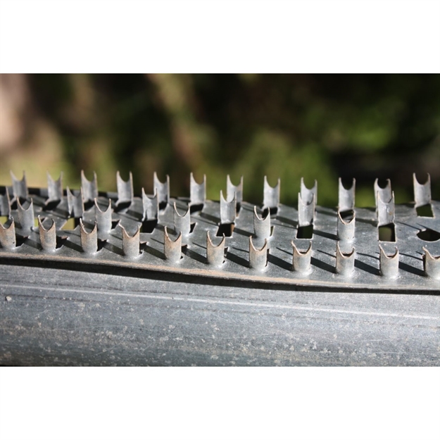 Picture of Boss Buck Shark Teeth 3 PC Set 36 Inch Strips