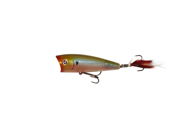 Picture of Boyd Duckett BD Popper 60 MM Bloody Ghost Minnow