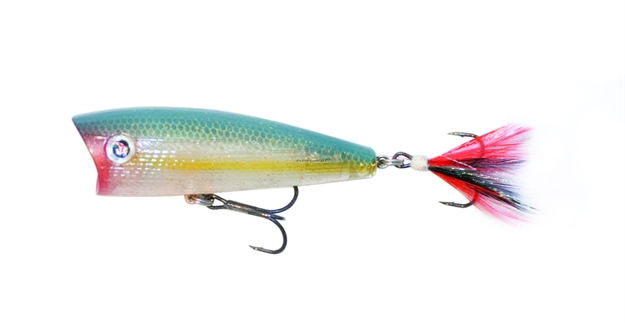 Picture of Boyd Duckett BD Popper 60 MM Bone