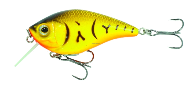 Picture of Boyd Duckett BD Soft Squarebill Crankbait 1.5" Orange Belly Craw