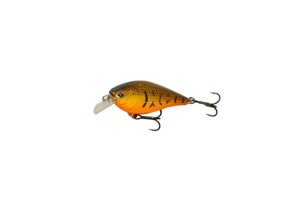 Picture of Boyd Duckett BD Squarebill Crankbait 1.5" Orange Belly Craw