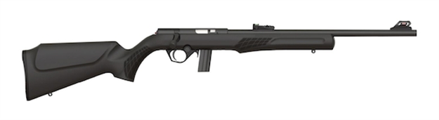 Picture of Braztech / Rossi Rb22 22Lr 18" Blk Syn Bolt RB22L1811 754908211401