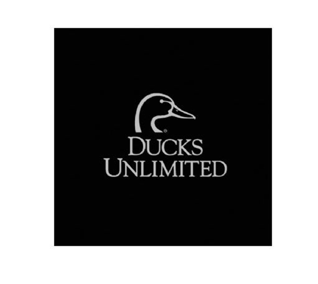 Picture of Browning DU Graphics Logo