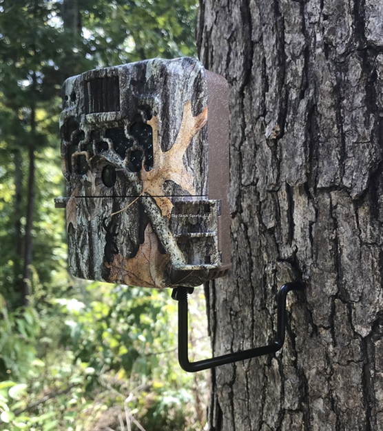 Picture of Browning Economy Tree Mount