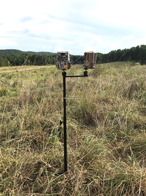 Picture of Browning Field Mount