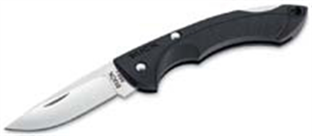 Picture of Buck Nano Bantam Folder Blk