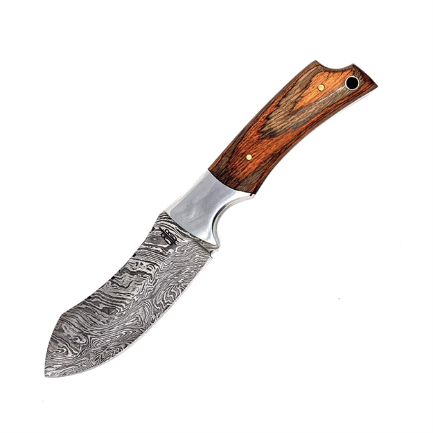 Picture of Bucknbear Recurve Hunter Fixed 4.25 IN Blade Olive Wood Hndl