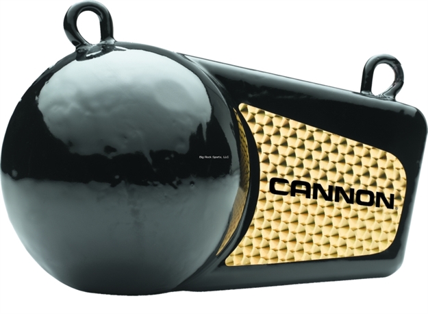 Picture of Cannon Wgt Flash 6Lb