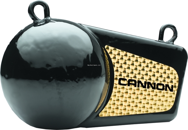 Picture of Cannon Wgt Flash 8Lb