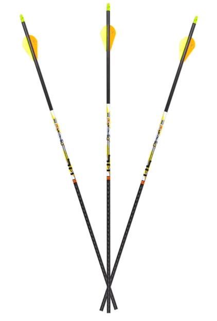 Picture of Carbon Express D-Stroyer SD #350 6Pk