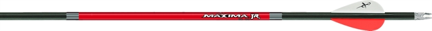 Picture of Carbon Express Maxima Junior 3050 36-Pk Arrows Bulk