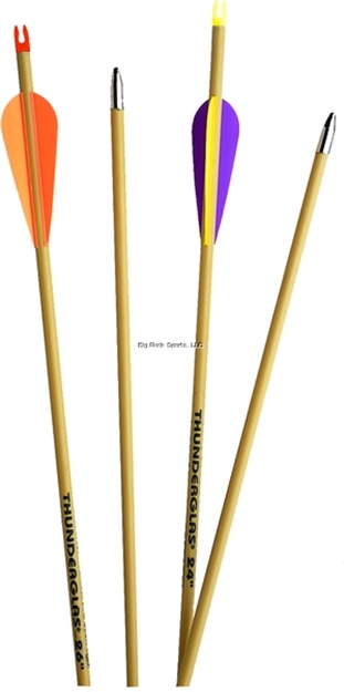 Picture of Carbon Express Thunder Express Arrows 26" Youth Dura Vanes 3Pk