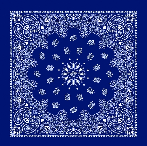 Picture of Carolina Bandanna Navy