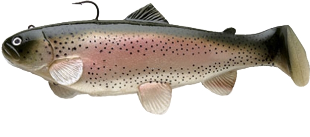 Picture of Castaic Boot Tail Swim Bait, 4", Trout