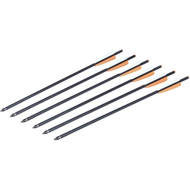 Picture of  Centerpoint Axcca206pk1 Crossbow Arrows 20" 6 Pack 400Gr 028478149502