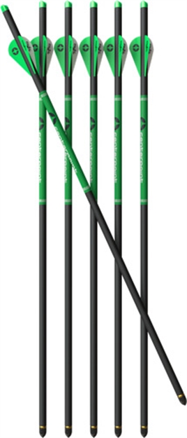 Picture of Centerpoint Xbow Arrow 20" Cp400 Carbon 6Pk AXCCA20TPK 843382003838