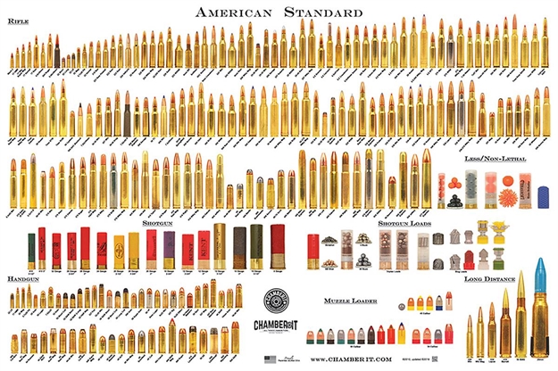 Picture of Chamber IT Americanstan American Standard Rifle/Shotgun/Handgun 24"X 36" Poster