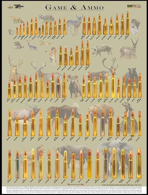 Picture of Chamberlain Game & Ammo Hunting Cartridge Teaching 18"X24" Poster