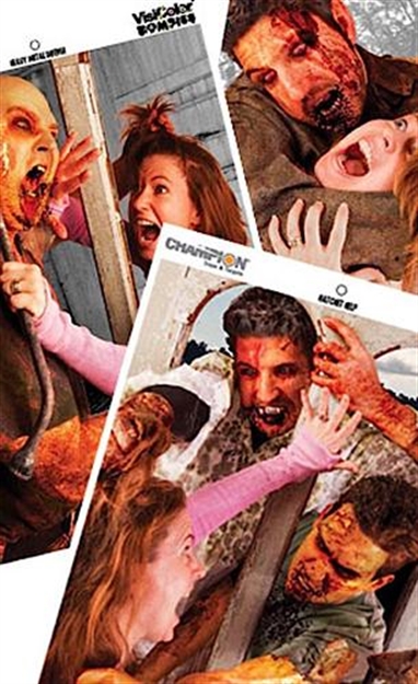 Picture of Champion Targets 46042 Visicolor Zombie Pack 6 Per Case