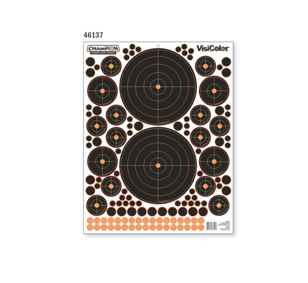 Picture of Champion Traps & Targets Bulls Eye Target Variety 5/Pk 46137