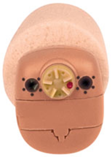 Picture of Champion Traps & Targets Digtl Ite Protec/Amp Rgt