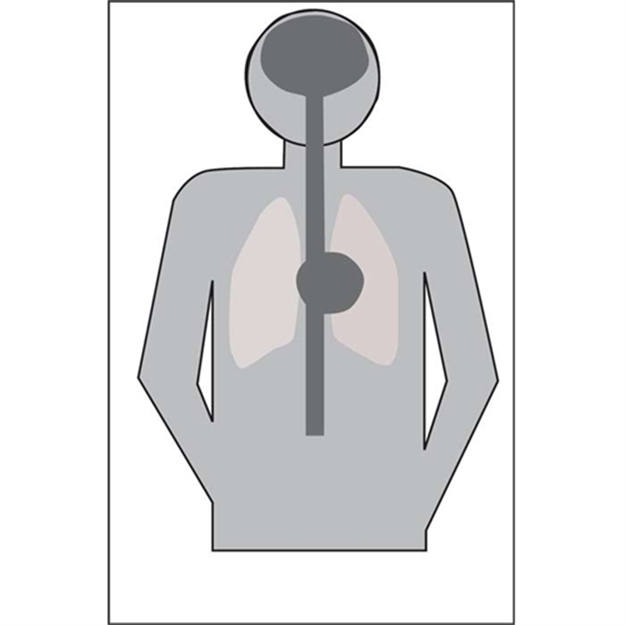 Picture of Champion Traps & Targets LE Paper Target Anatomy