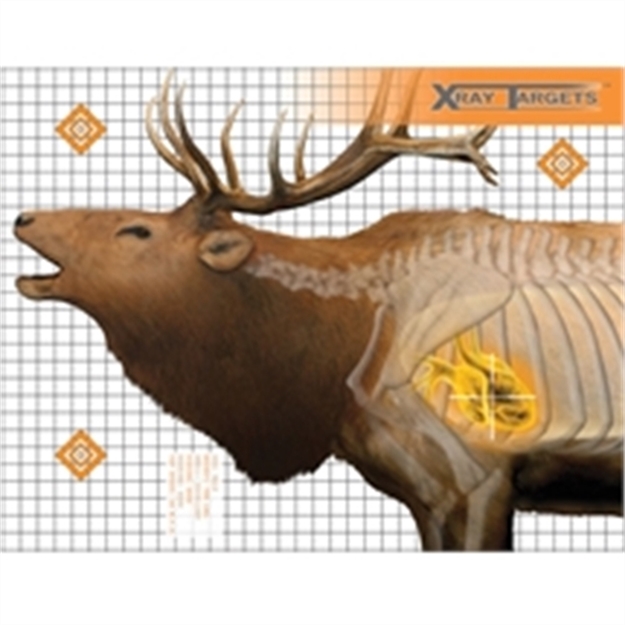 Picture of Champion Traps & Targets X-Ray Elk Target 6Pk
