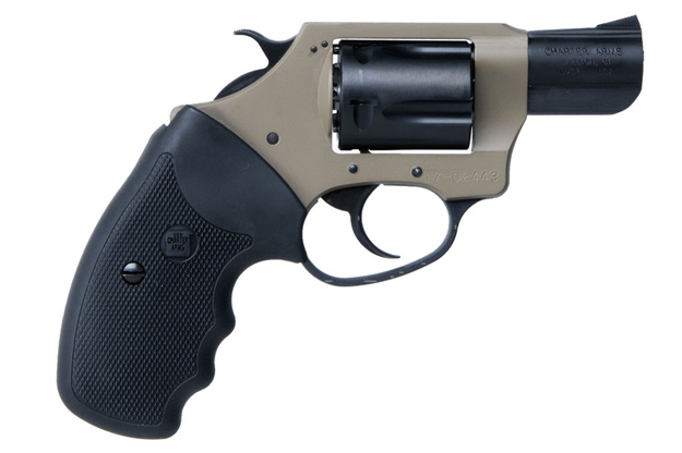 Picture of Charter Arms Earthborn 38Spl 2" 5Rd