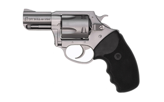 Picture of Charter Arms Pitbull 40S&W 2.5" SS 74020