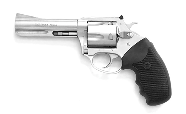 Picture of Charter Arms Char Pit Bull 9Mm 4.2" Ss/Adj Sights 5Rd 79942