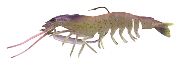 Picture of Chasebaits Flick Prawn 4.9" - Jelly Prawn