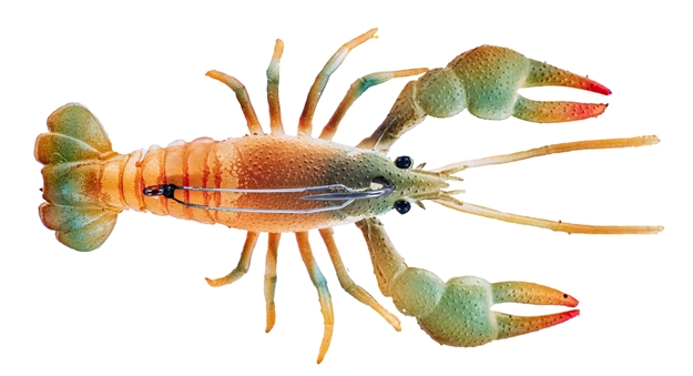 Picture of Chasebaits Mud Bug 3.75" C- Native, Tpe Material