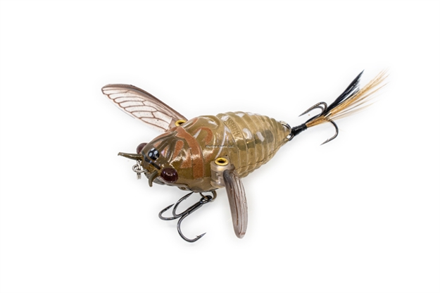 Picture of Chasebaits Ripple Cicada 1-3/4" Brown Drummer
