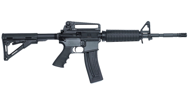 Picture of Chiappa Firearms Mfour-22 Gen II  16" 28Rd