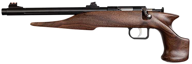 Picture of  Chipmunk 40001 Hunter  Youth Frame 22 S/L/Lr Single Shot 9" Threaded Blued Steel Barrel, Walnut Frame, EZ Loader