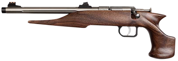 Picture of  Chipmunk 40101 Hunter  Youth Frame 22 S/L/Lr Single Shot 9" Threaded Stainless Steel Barrel, Walnut Frame, EZ Loader