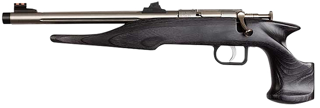 Picture of  Chipmunk 40103 Hunter  Youth Frame 22 LR Single Shot 9" Threaded Stainless Steel Barrel, Black Laminate Frame 645221401030