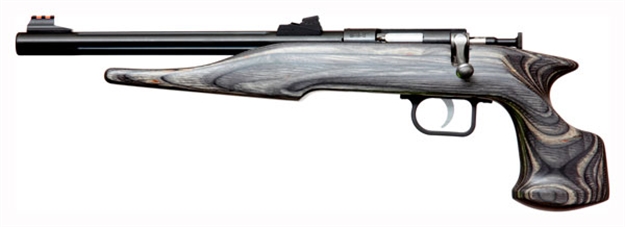 Picture of  Crickett 41003 Hunter Adult 22 Mag 1Rd 9" Threaded Blued Steel Single Shot Barrel, Black Laminate Stock