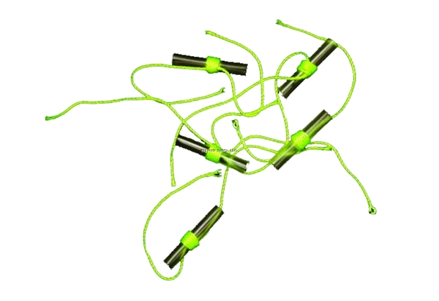 Picture of Clam 20-Pack String Tie Stop Knots