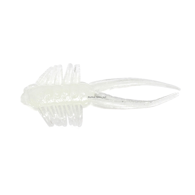 Picture of Clam Jamei, 1 1/8" Lumi