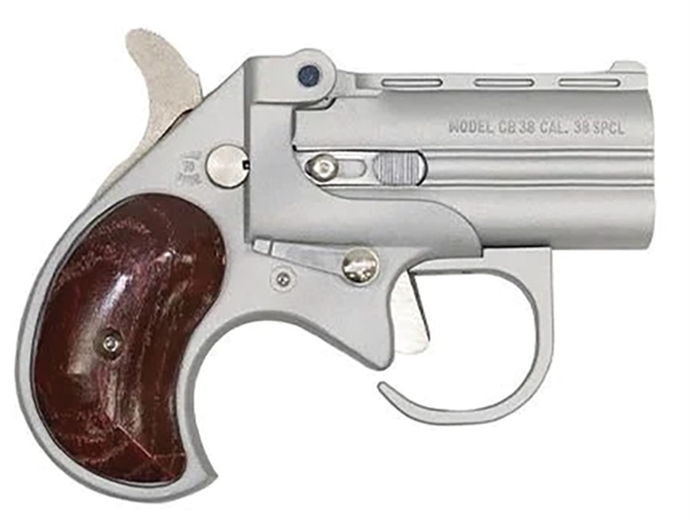 Picture of Cobra Enterprises Big Bore 38Spl 2.75" 2Rd Bbg38sr