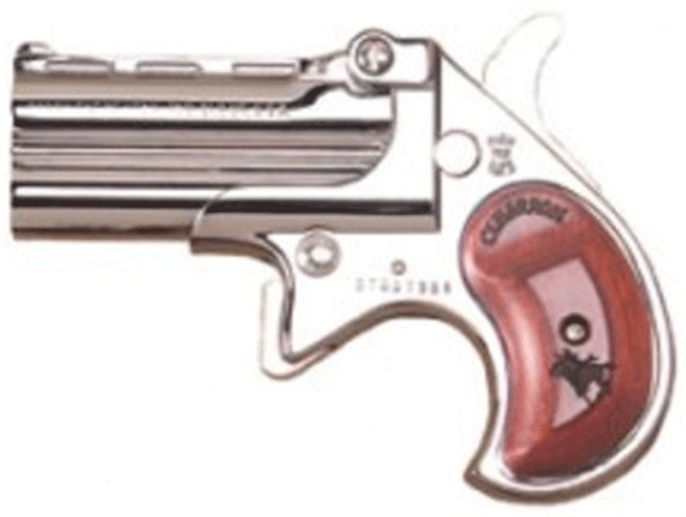 Picture of Cobra Enterprises Derr 22Lr Chrome Rswd Grips