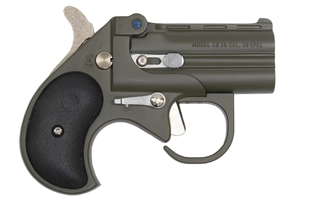 Picture of Cobra Enterprises Derr 38Spl Odgrn W/Blk Grip