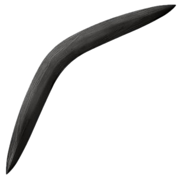Picture of  Cold Steel Cs92brgb Boomerang  Non-Returning Black Polypropylene 28" Long
