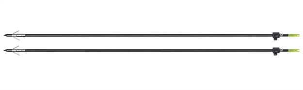 Picture of  CP Abfa2pk  Bowfishing Arrows Two Pack
