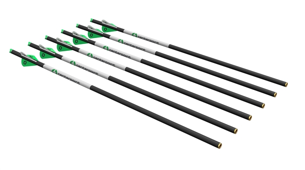 Picture of CP Premium Arrows 6Pk AXCCA206PK1 028478149502