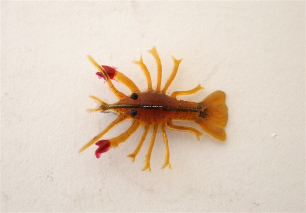 Picture of Creme Lures Baby Crawfish, 2/Pack