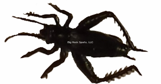 Picture of Creme Lures Floating Natural Cricket 2 Pack